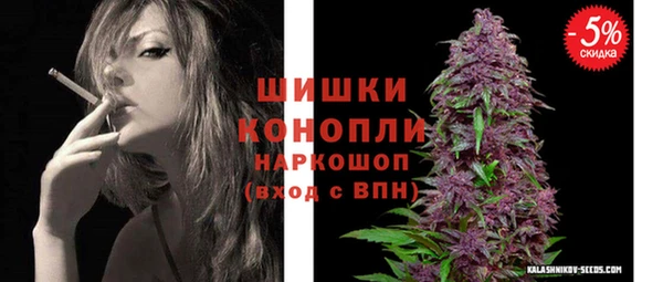 шишки Верхний Тагил