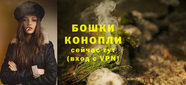 шишки Верхний Тагил