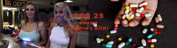 шишки Верхний Тагил