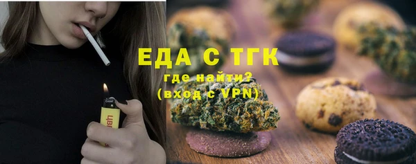 шишки Верхний Тагил