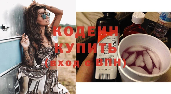 шишки Верхний Тагил
