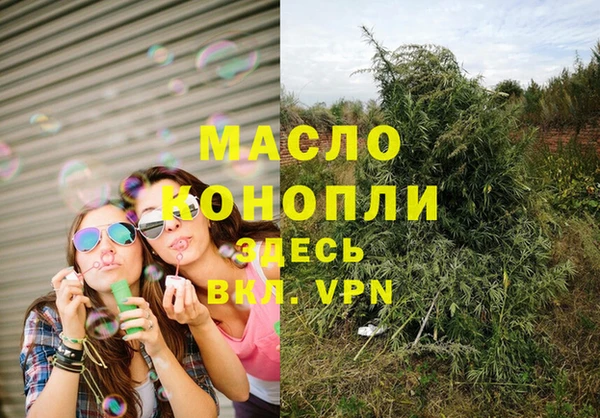 шишки Верхний Тагил